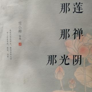 《那莲那禅那光阴》雪小禅——《惰性气体》（家长篇）