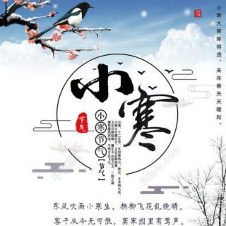 《寒意料峭处，暗有春意来》慕绯雪