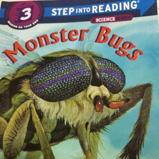 Monster Bugs