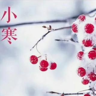 北京和平未来赵家庄幼儿园🏫小寒节气分享