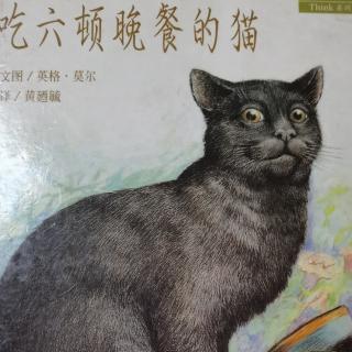 吃六顿晚餐的猫