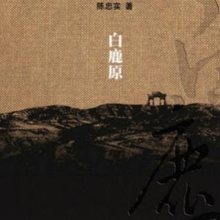 《文学名著连载》第十三章1.