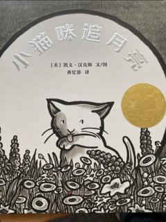 小猫咪追月亮