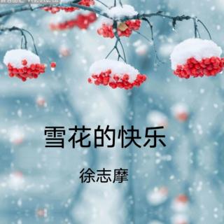 《雪花的快乐》徐志摩