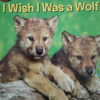 I Wish I was A Wolf