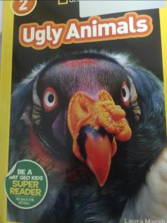 Jan.7 Ugly Animals-Dodo 1