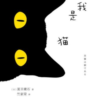 我是猫（5）——墨婷读