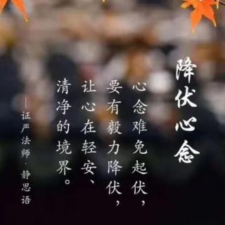 15.《踏对人生的脚步》第十五讲：养父母之身心志慧