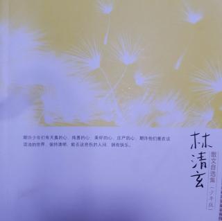 《林清玄散文自选集》卷一3.在流浪狗🐶的眼睛里