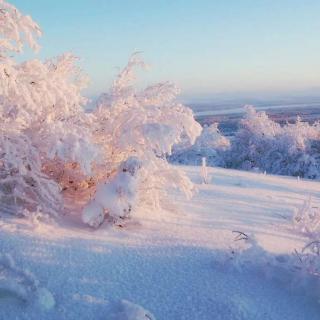 冬遇密雪，碎玉无声/木西