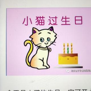 小猫过生日