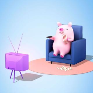 爱看电视的小猪🐷