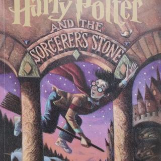 Harry Potter and the sorcerer's stone chapter13