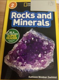 Jan.8 Rocks and Minerals-Dodo 1