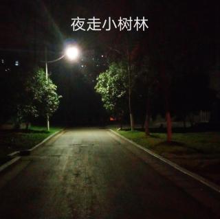 《夜走小树林》朗读：高涵雨