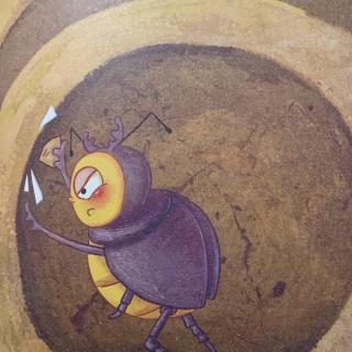 「法布尔昆虫记」蜣螂·柳暗花明，破壳而出