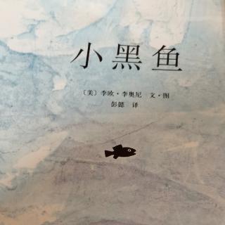 幼专金海湾幼儿园杨老师——《小黑鱼》