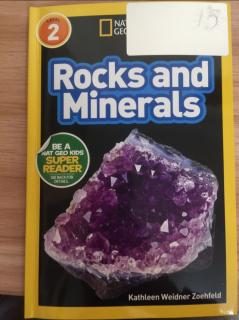 Jan.9 Rocks and Minerals-Dodo 1