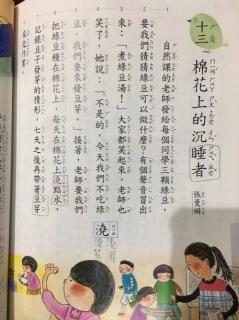 20210103台灣四年級國語上冊康軒十三課棉花上的沉睡者
