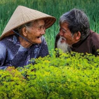 高秀军《看一段视频有感》泰山