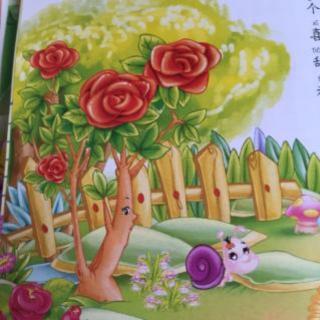 安博幼儿园鄢老师第76个睡前故事《蜗牛和玫瑰🌹树》