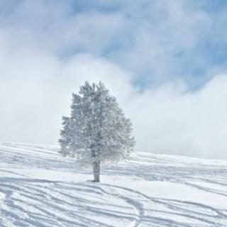 故乡的雪   山泉