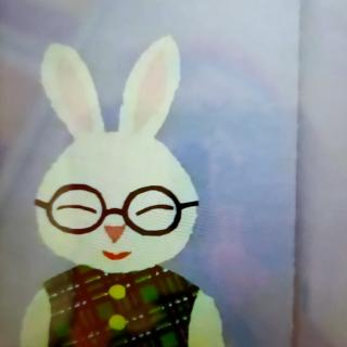 《眼镜👓兔子》