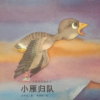 中国原创图画书——《小雁归队》