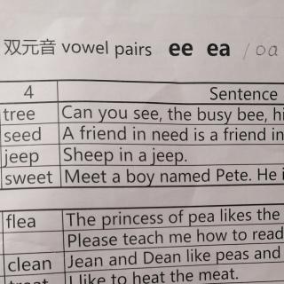 自拼双元音(ee   ea  /  oa)的拼读练习