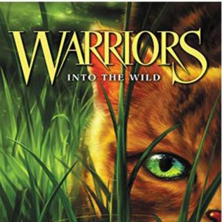 Warriors - Into the Wild - 01