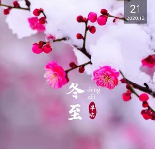 《梅花泪》相逢是首歌