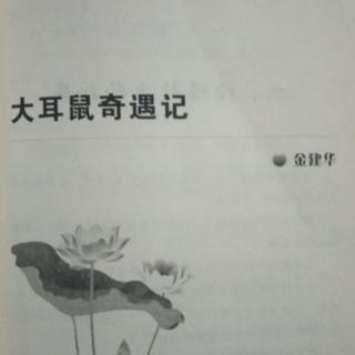 大耳鼠