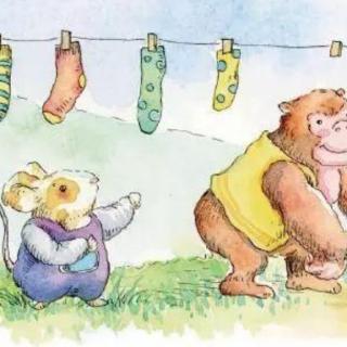 小动物买袜子
