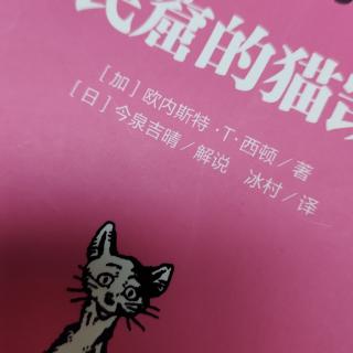 凯蒂猫