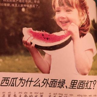 38－西瓜为什么外面绿里面红