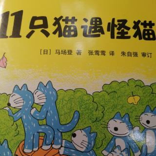 11只猫遇怪猫