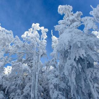 冬天的雪（诵读：临风）