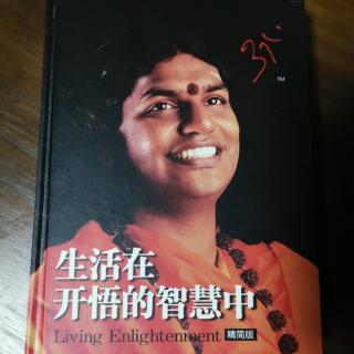 二.7.3内心强度的冥想技巧《生活在开悟的智慧中》