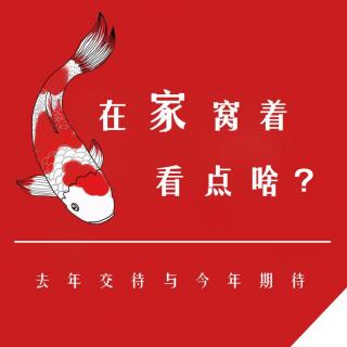 Vol.8 在家窝着干点啥？去年交待与今年期待~