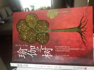 21 《瑜伽之树》树皮