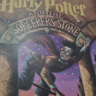 Harry Potter and the sorcerer's stone chapter14 continued