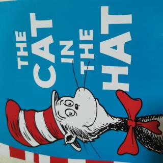 THE CAT IN THE HAT