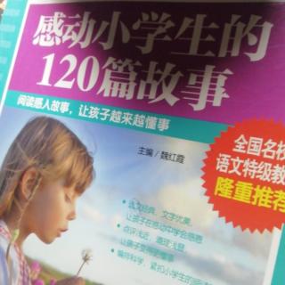 感动小学生的120篇作文