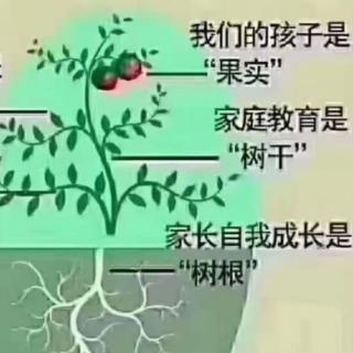 让世界因我而美丽