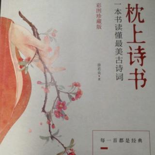 33.一世桃花，不曾风流