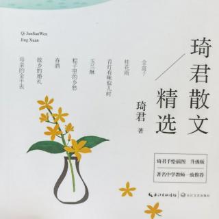 一对金手镯|琦君——家长篇