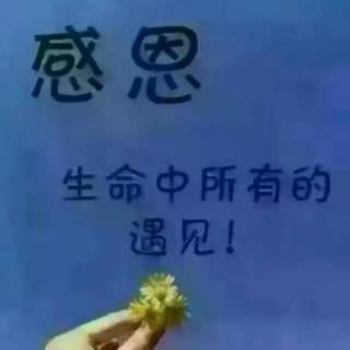 感恩相遇