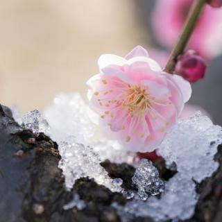 每一个日子都要温柔地度过/碑林路人