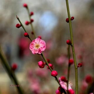 疫情防控宣传稿2