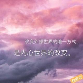 森林里的一棵树